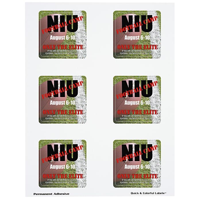 Quick & Colorful Sheeted Label - Square 2-1/2 inches x 2-1/2 inches