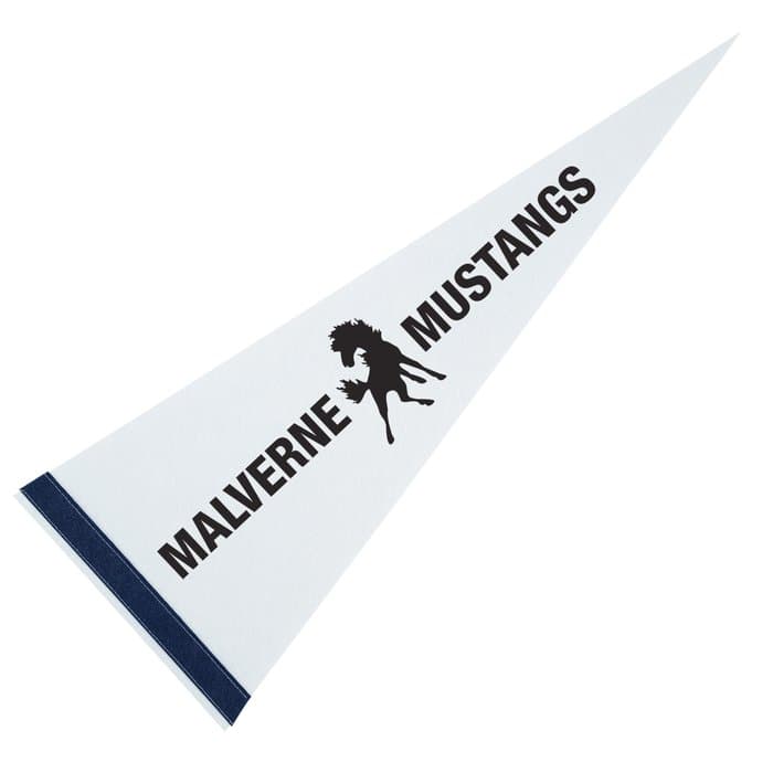 Pennant 9 inches x 24 inches - White