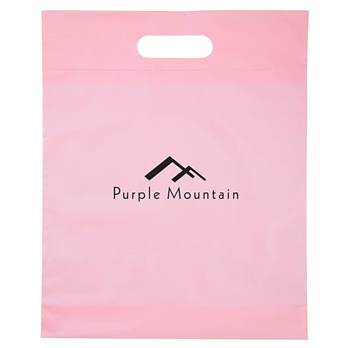 Convention Bag with Reinforced Handles - 15 inches x 12 inches