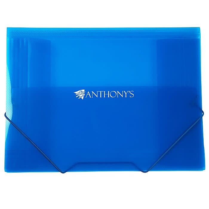 Action Document Case