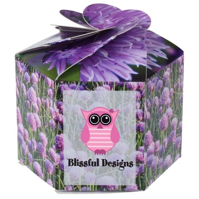 Pop Up Planter Kit - Chives