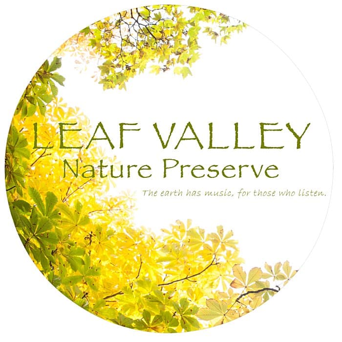 Car Magnet - Round - 5-7/8 inches