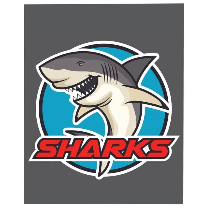 Full Color Static Decal - Rectangle - 4 inches x 5 inches