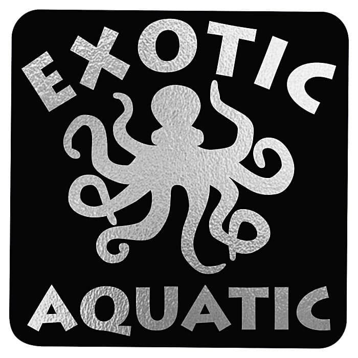 Matte Black Embossed Seal by the Roll - Square - 1-1/2 inches x 1-1/2 inches