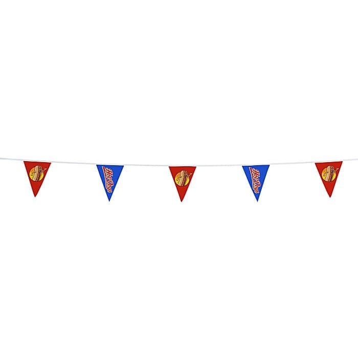20' Triangle Pennant String - 12 inches x 9 inches - 11 Pennants - One Sided - Alternating