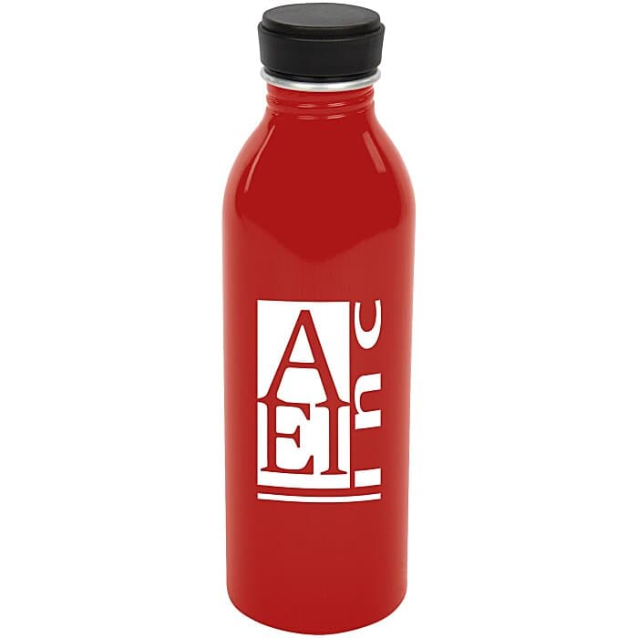 Level Aluminum Bottle - 17 oz