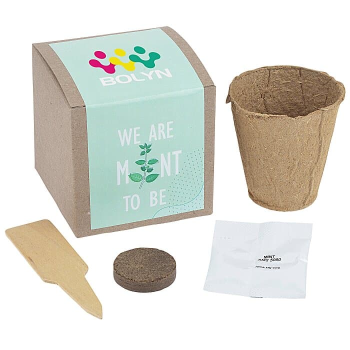 Growable Planter Gift Kit - Inspirational Mint To Be