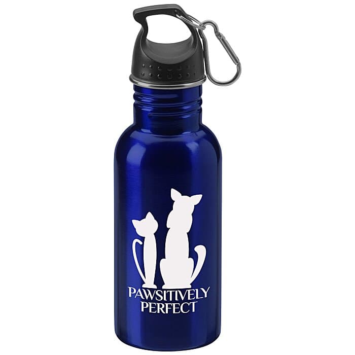 Stainless Adventure Bottle - 18 oz